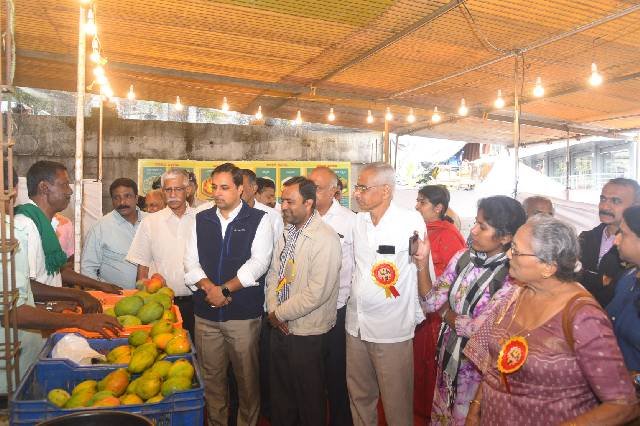 Mango and jackfruit fair