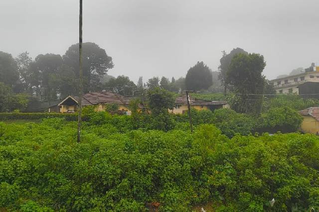 Kodagu