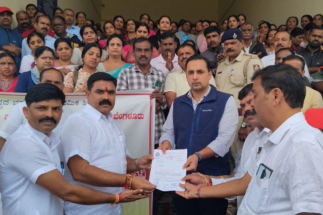 primary school teacher