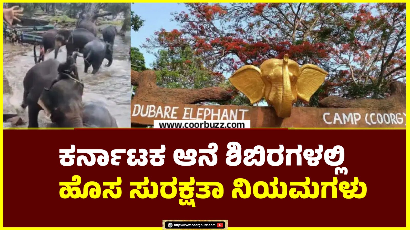 Elephant Camps