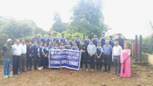 Tree Plantation